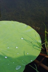 DSC01489_