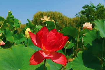 001