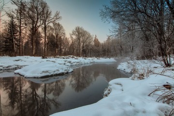Morning Light