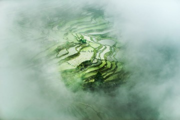 凡间正是插秧季