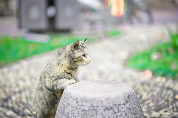 要开饭咯