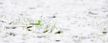 雪2