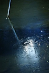 霜寒4