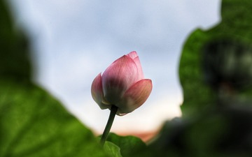 527689
