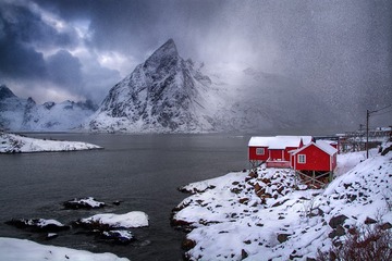 reine