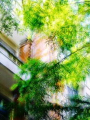 2014-07-28 03.05.44 2