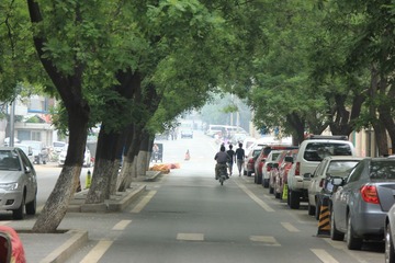 DPP_0012