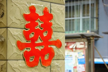 DPP_0016
