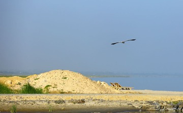 0J7A0834
