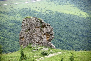 0J7A0377