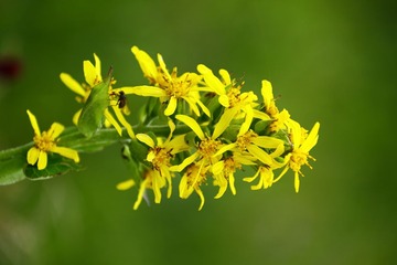 0J7A0293
