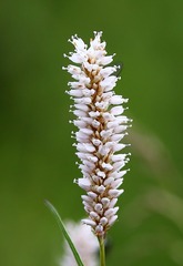 0J7A0300