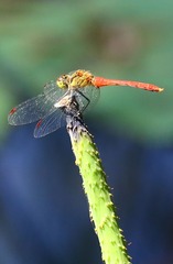 0J7A6130-2