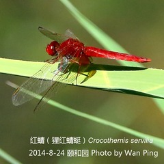 0J7A5968_w