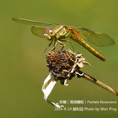 0J7A6015_w