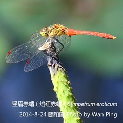 0J7A6130_w