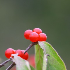 0J7A8396
