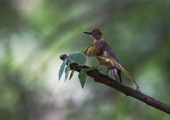 _B9W2321-800