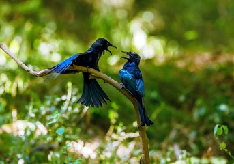 _B9W1152-800