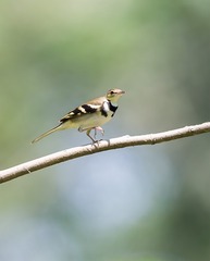 _B9W5649-800