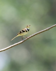 _B9W5653-800