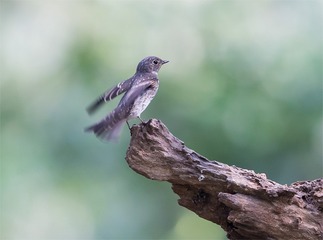 _B9W7817-800