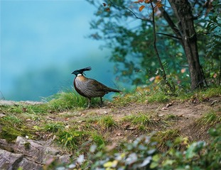 _B9W9469-800