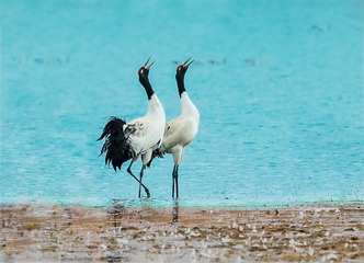 _B9W5700-800
