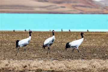 _B9W5958-800