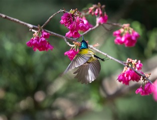 _B9W9672-800