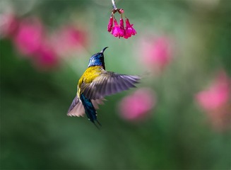 _B9W9912-800