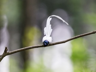_B9W7210-800