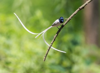 _B9W7902-800