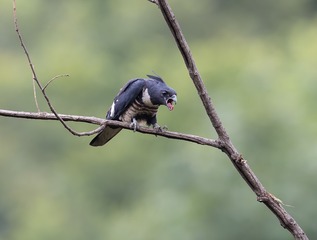 _B9W7095-2200
