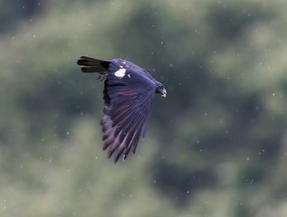 _B9W6821-2752
