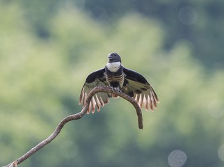 _B9W6246-2800