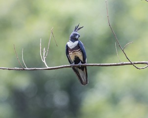 _B9W5312-2392