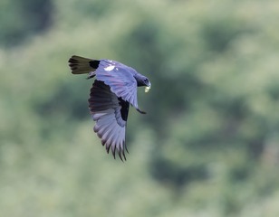 _B9W7164-3008