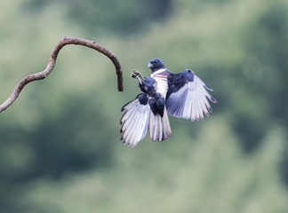 _B9W6964-2816