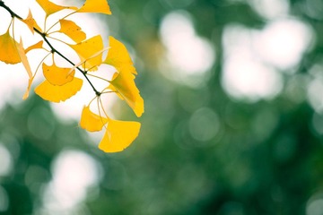 IMG_1688.jpg