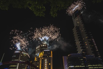 _DSF4290