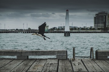 _DSF4426_1
