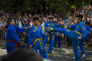 _DSF6013