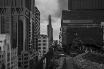 _DSF7781