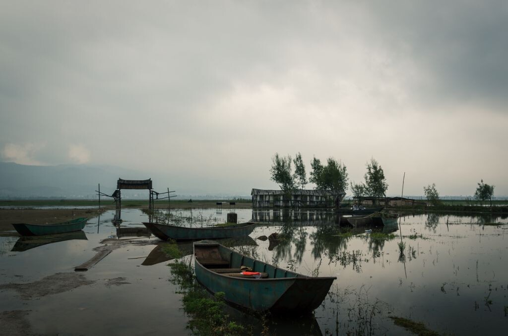 LASHIHAI