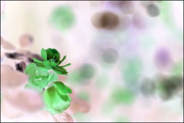 2011-2-2b