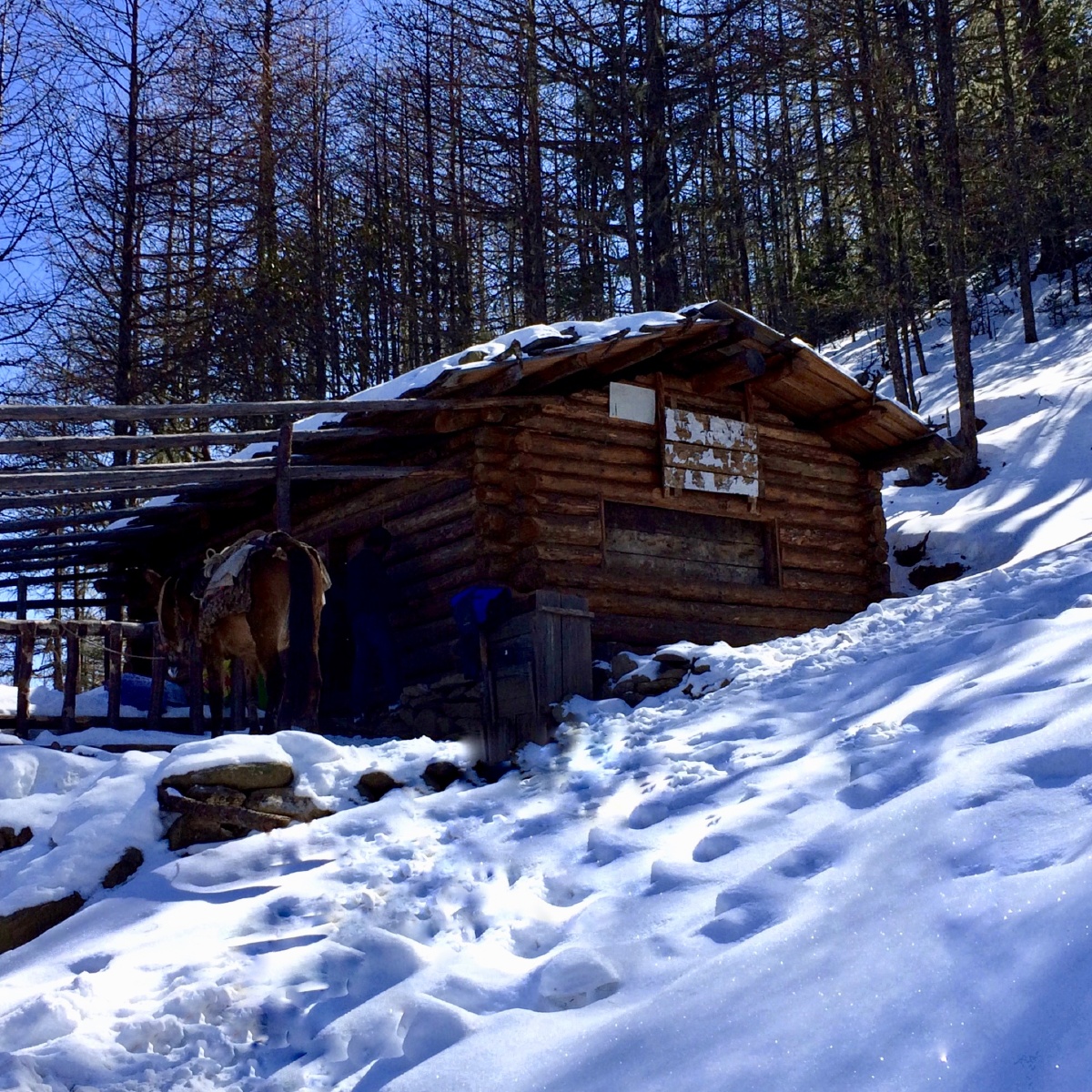 哈巴雪山上的木屋(@iphone手机拍摄)