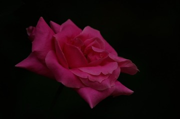 _IGP6318