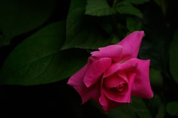 _IGP6322