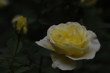 _IGP6334